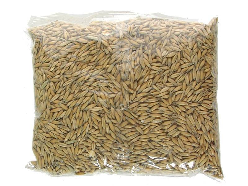 Где Купить Пшеницу В Красноярске