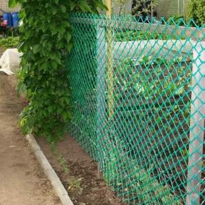 «Сетка садовая 55*55мм (1,5*20м) зеленая» - фото 1