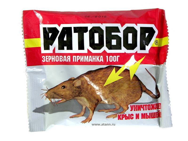 Где Купить Отраву Для Крыс В Новосибирске