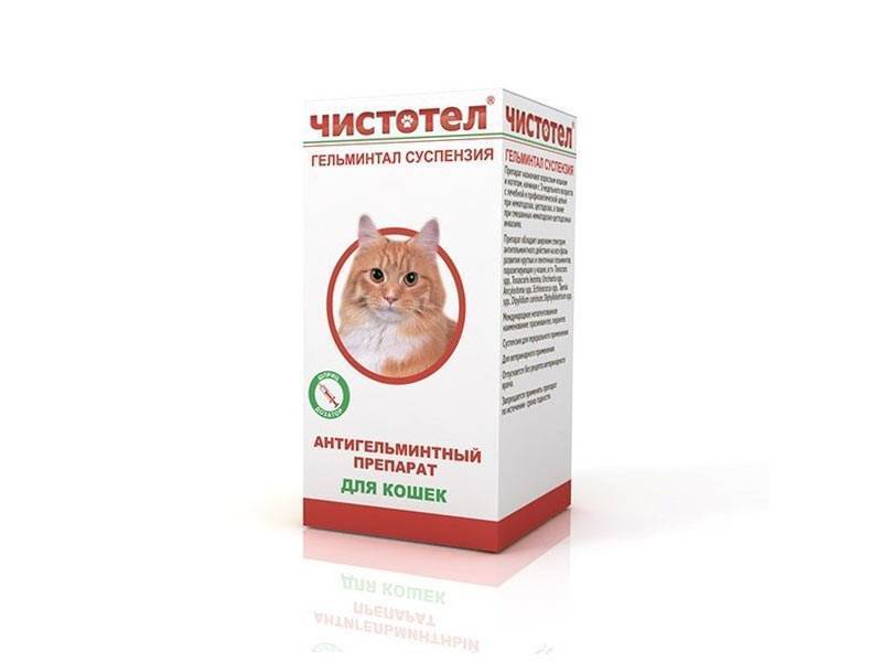 Суспензия для кошек 5мл C102 Чистотел Глистогон код: 700284 от – купить  оптом с доставкой по всей России в интернет-магазине atann.ru