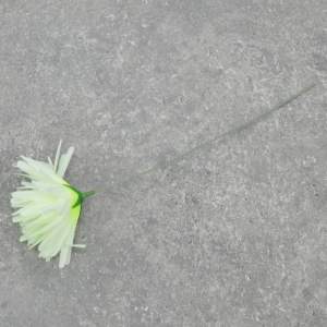 «Цветы искусственные Хризантема белая 32см» - фото 1